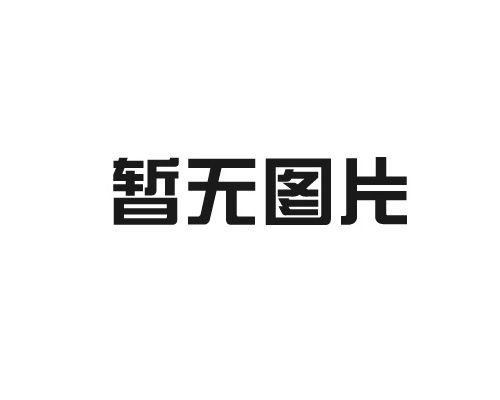 南宁市高新区创业者中心领导莅临公司考察指导工作